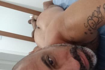 Urso ivo a seu dispor