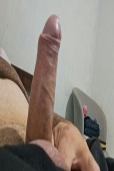 Gato15