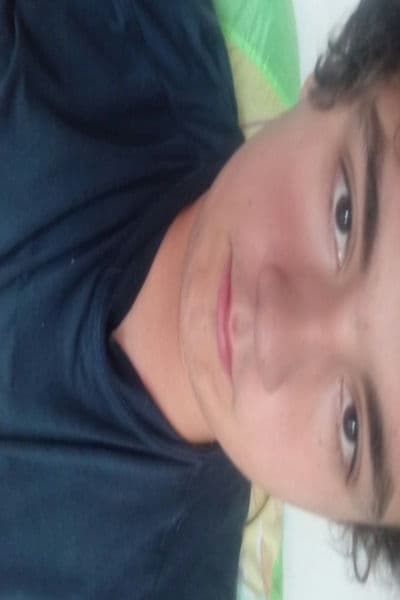 novinho